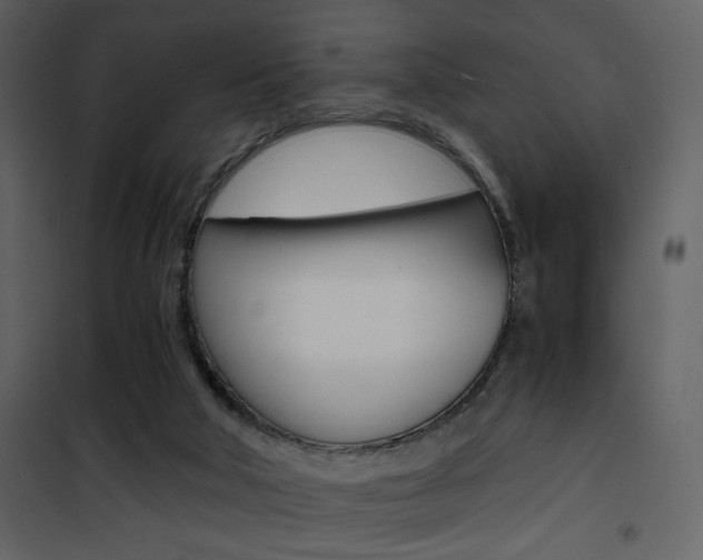 X0000101950018200807171144