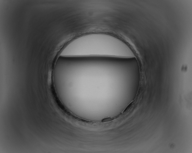 X0000101950019200807171144