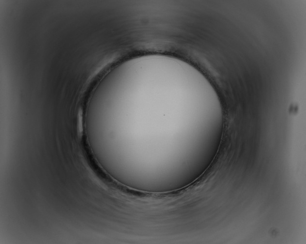 X0000101950020200807171144