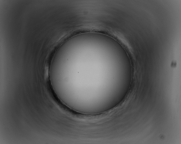 X0000101950021200807171144