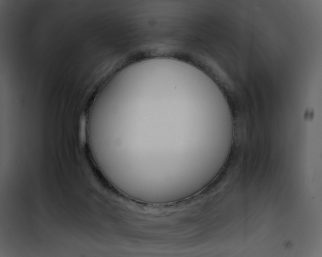 X0000101950022200807171144