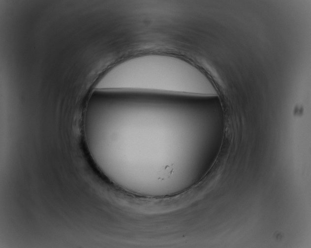 X0000101950023200807171144
