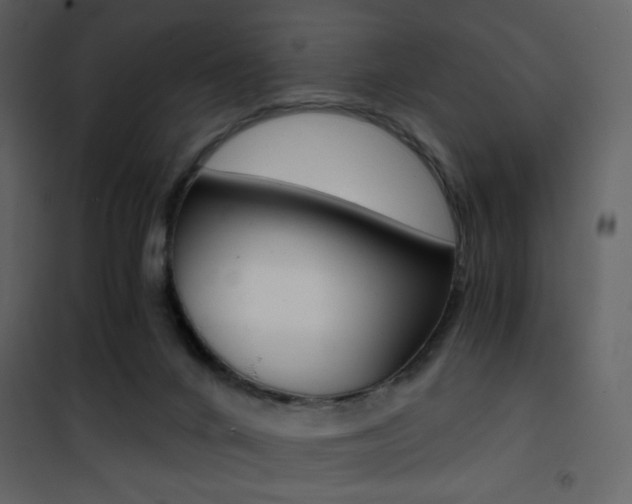 X0000101950024200807171144