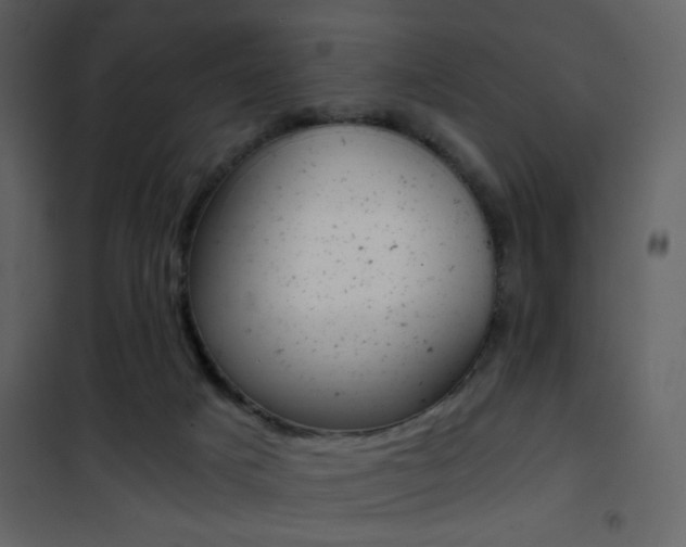 X0000101950025200807171144
