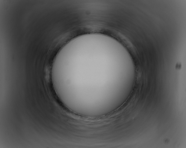 X0000101950026200807171144