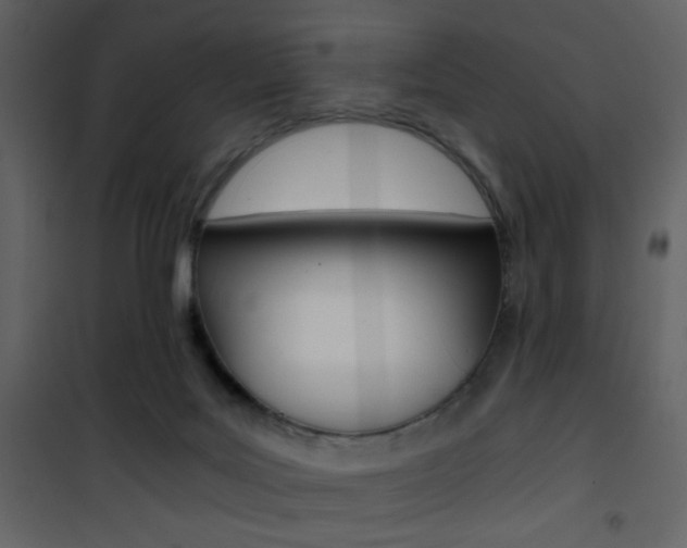 X0000101950027200807171144