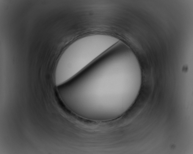 X0000101950028200807171144