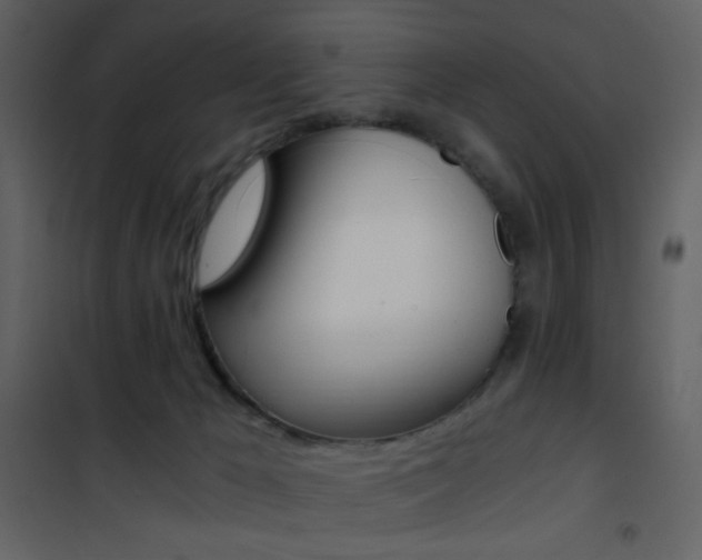 X0000101950029200807171144