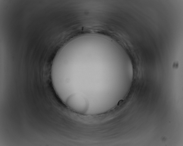 X0000101950030200807171144