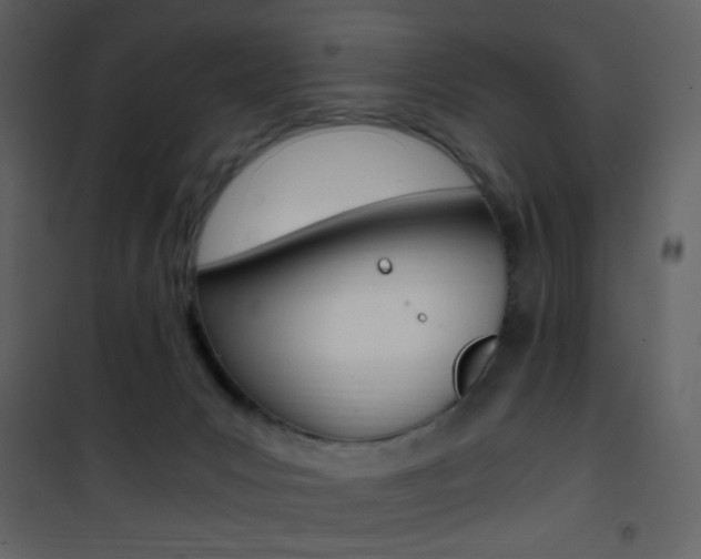 X0000101950031200807171144