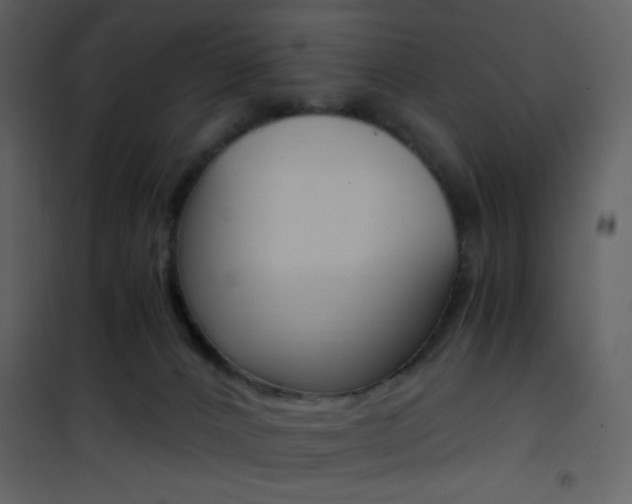 X0000101950032200807171144