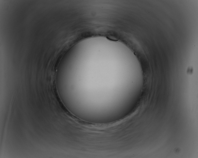 X0000101950033200807171144