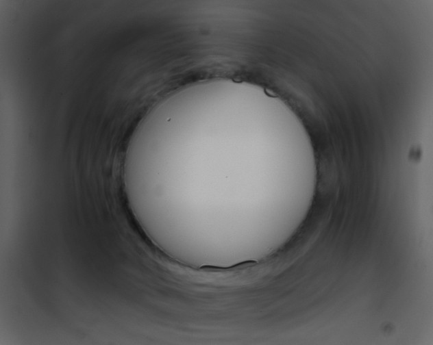 X0000101950034200807171144