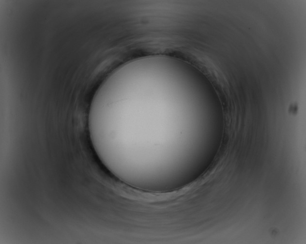 X0000101950035200807171144