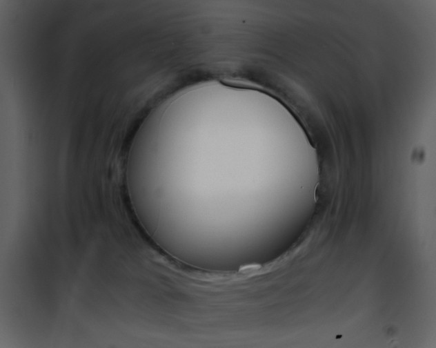 X0000101950037200807171144