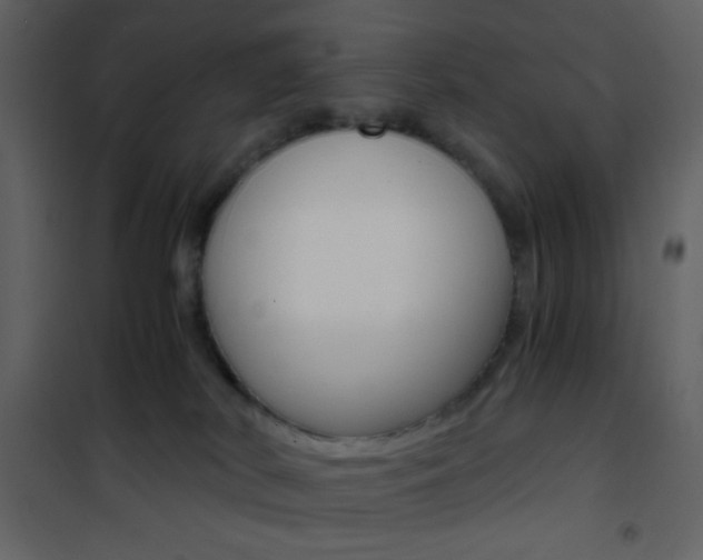 X0000101950038200807171144