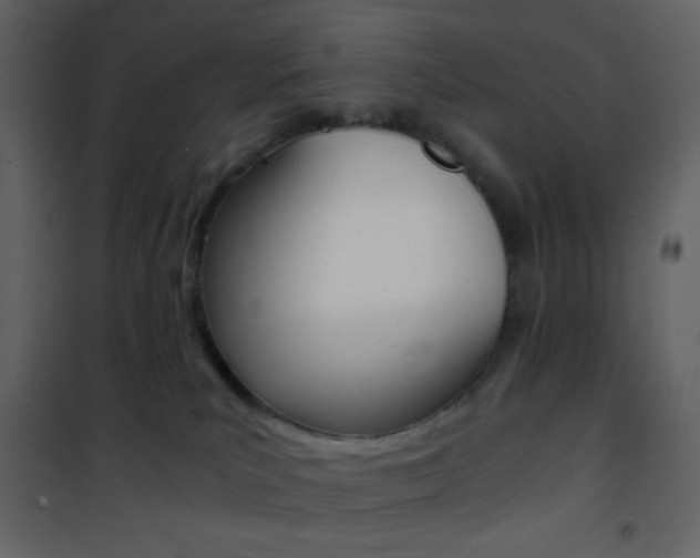 X0000101950039200807171144