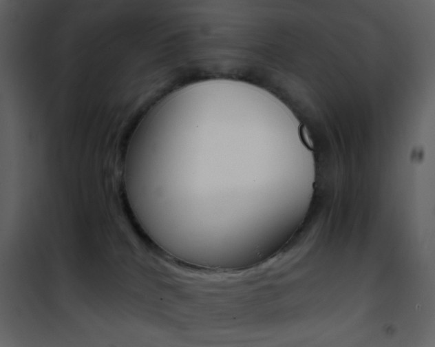 X0000101950040200807171144