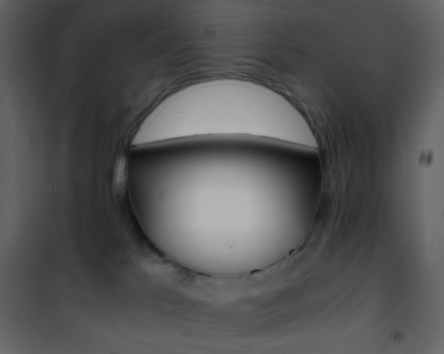 X0000101950041200807171144