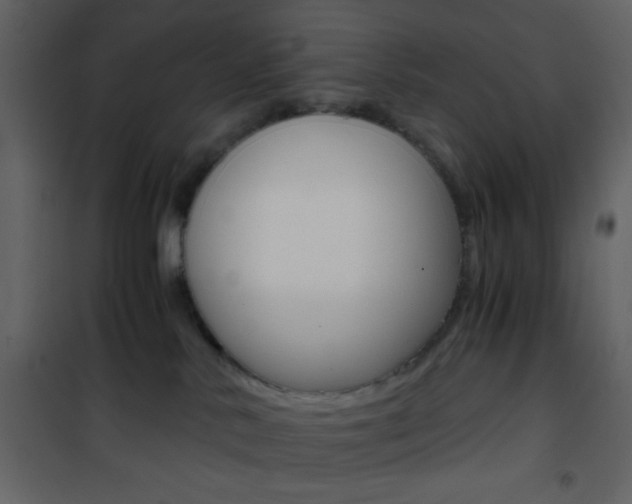 X0000101950042200807171144