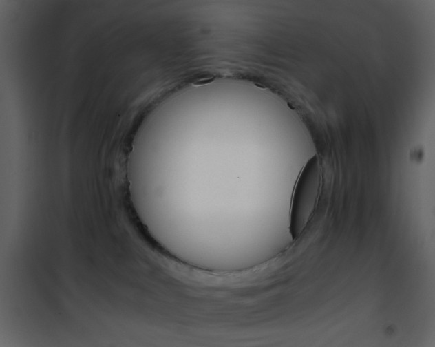 X0000101950043200807171144