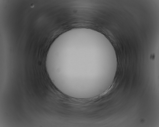 X0000101950045200807171144
