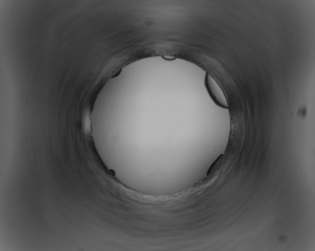 X0000101950046200807171144
