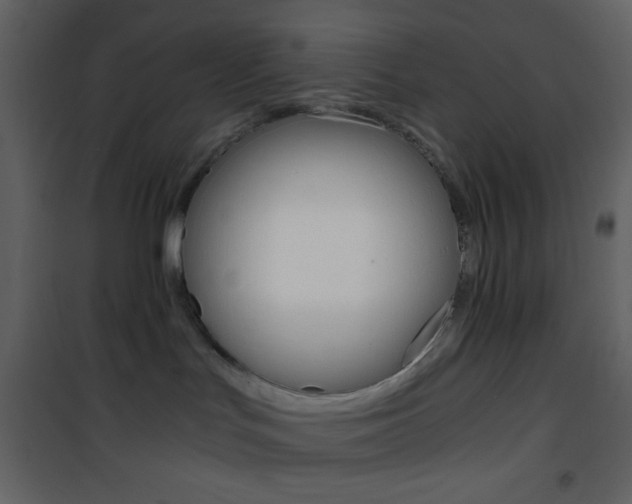 X0000101950047200807171144