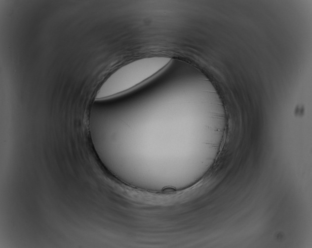 X0000101950048200807171144