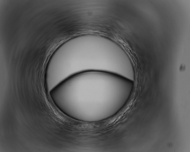 X0000101950049200807171143