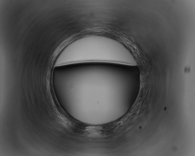 X0000101950051200807171143