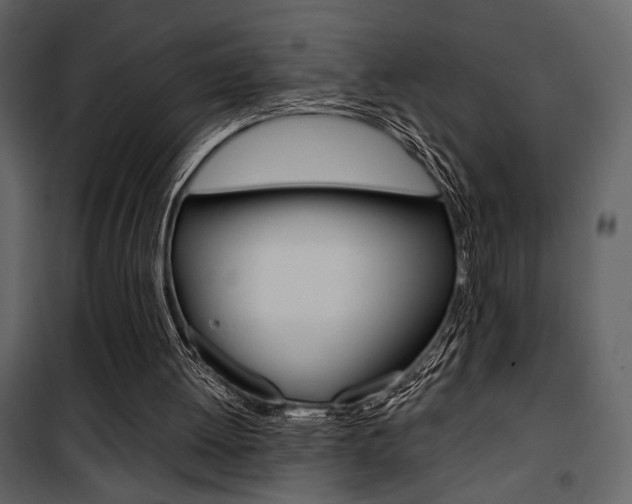 X0000101950052200807171143