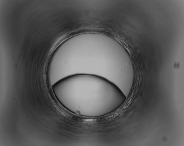 X0000101950053200807171143