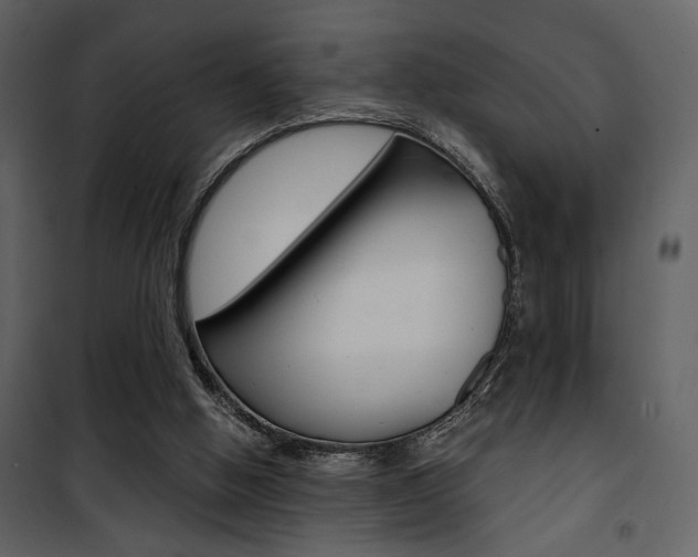 X0000101950058200807171143