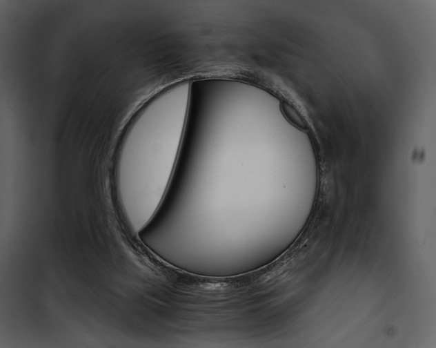 X0000101950059200807171143