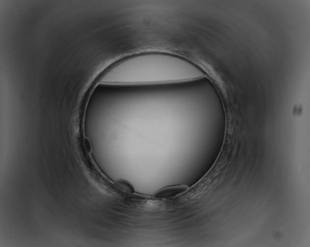 X0000101950060200807171143