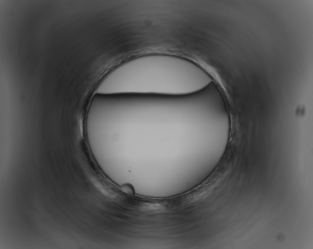 X0000101950061200807171143