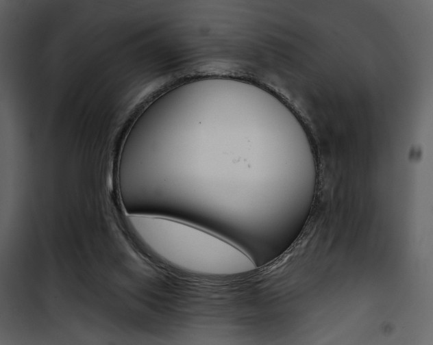 X0000101950062200807171143