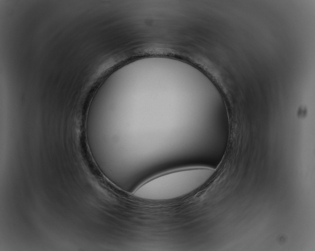 X0000101950063200807171143