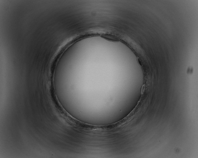 X0000101950064200807171143