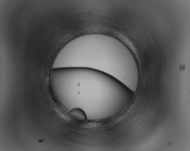 X0000101950065200807171143
