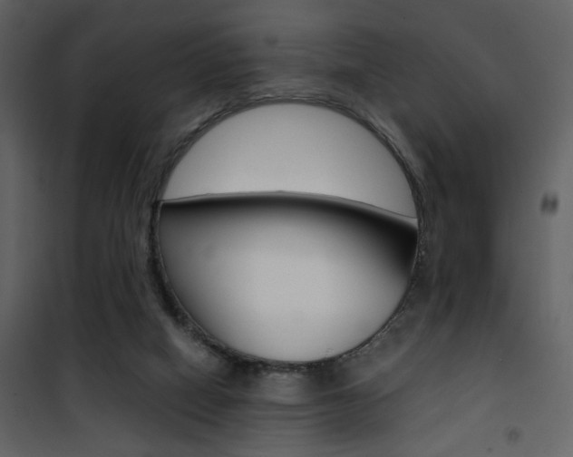 X0000101950066200807171143