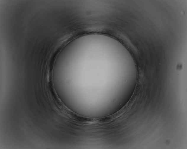 X0000101950068200807171143