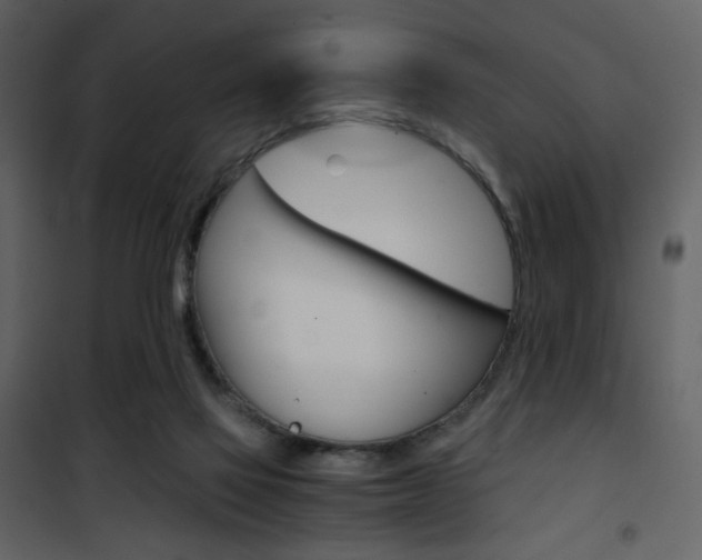 X0000101950069200807171143