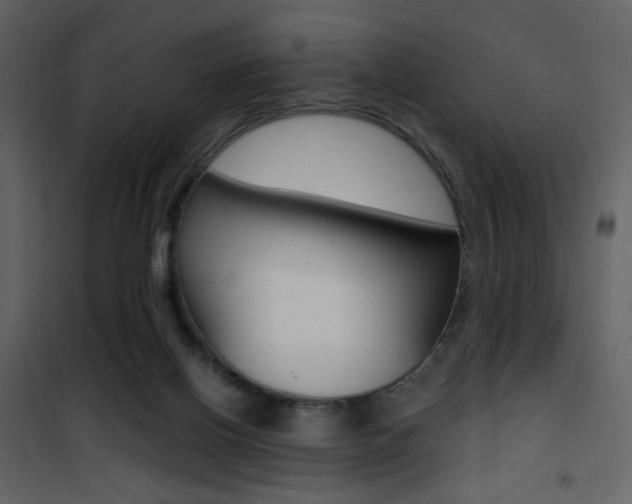 X0000101950070200807171143