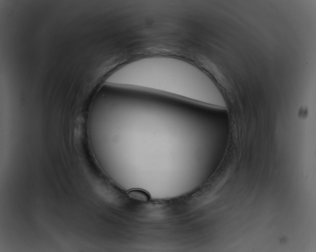 X0000101950071200807171143