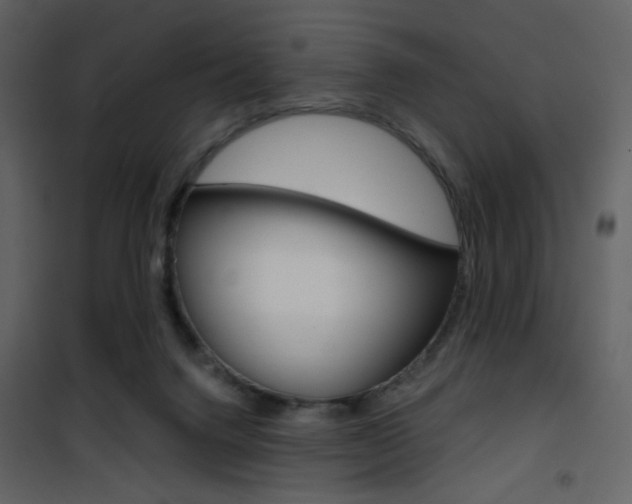 X0000101950072200807171143