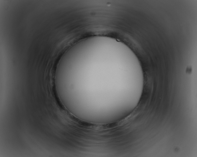 X0000101950074200807171143