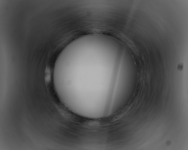 X0000101950075200807171143