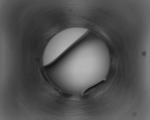 X0000101950076200807171143
